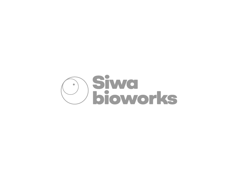 ILU-Siwa-3